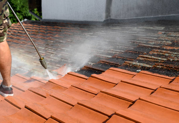Best Garage Pressure Washing  in Dover, NJ